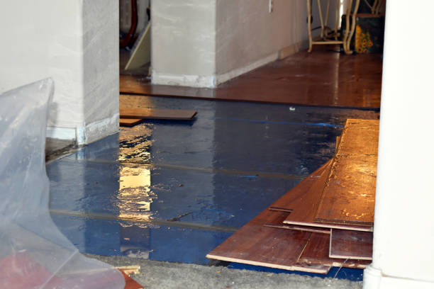 Professional Burst Pipe Water Damage technician working in Slovan, PA